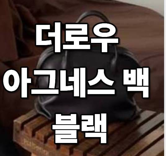 더로우아그네스백
